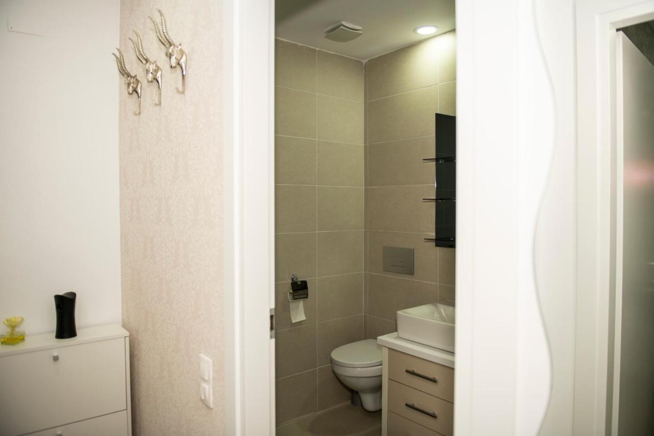 Raphael Apartment North Bucharest Cosmopolis Stefanestii de Jos Exteriör bild