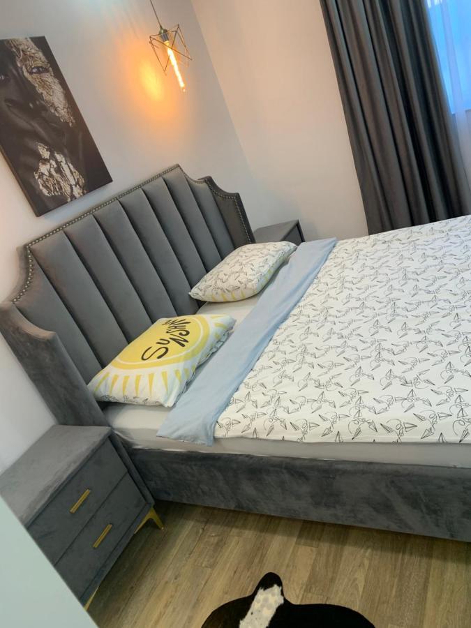 Raphael Apartment North Bucharest Cosmopolis Stefanestii de Jos Exteriör bild